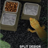 Reptile Feeding and Watering Bowl Single Double (3 Sizes)